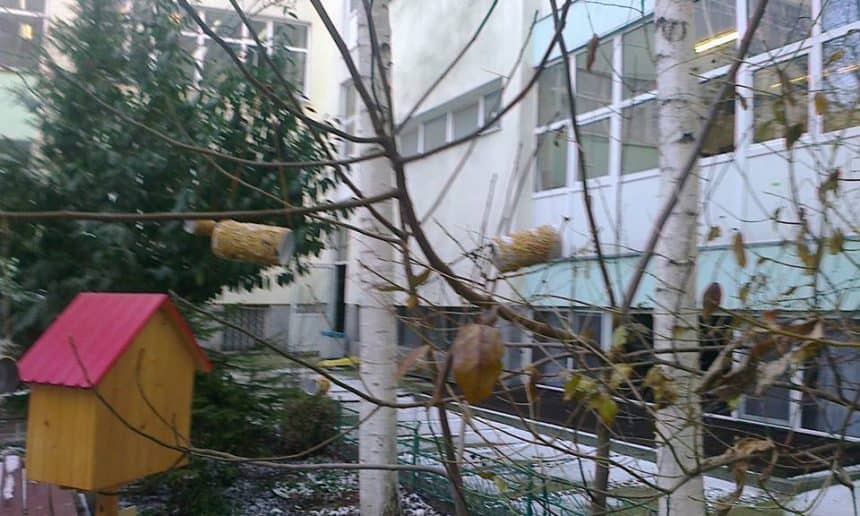 Хранилки за птички в двора на училището, изработени от сръчковците от І Г клас