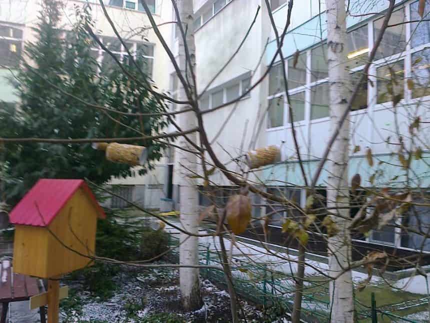 Хранилки за птички в двора на училището, изработени от сръчковците от І Г клас
